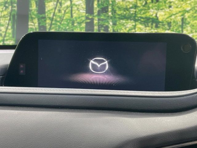 CX-302.0 20S
