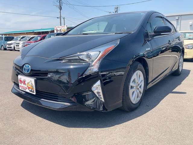 �y39.8���X�J�[�Y�̎��q���������������A���ɂ��肪�Ƃ��������܂��B���������q�s�Ö�368-1