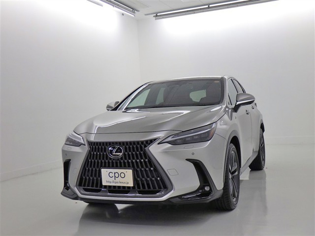 NX250 バージョンL
