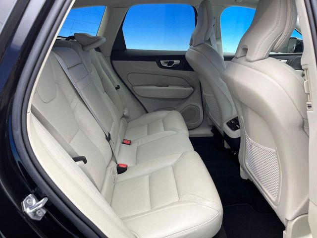 ���㕔���Ȃ��C�ɂȂ�悤�ȃL�Y�E�����ւ��蓙�A�傫�ȃ_���[�W�͂Ȃ��A�ǍD�ȏ�Ԃł��B
