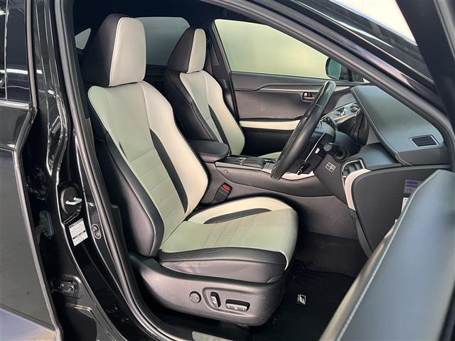 NX300h Fスポーツ