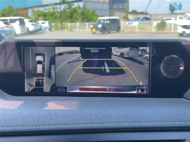UX250h バージョンC