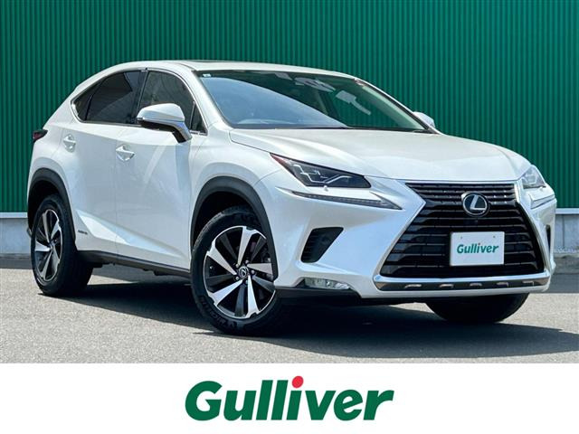 NX300h Iパッケージ 4WD