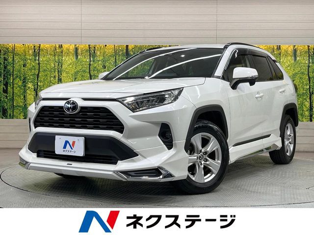 RAV42.0 X