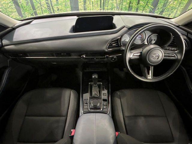 CX-302.0 20S