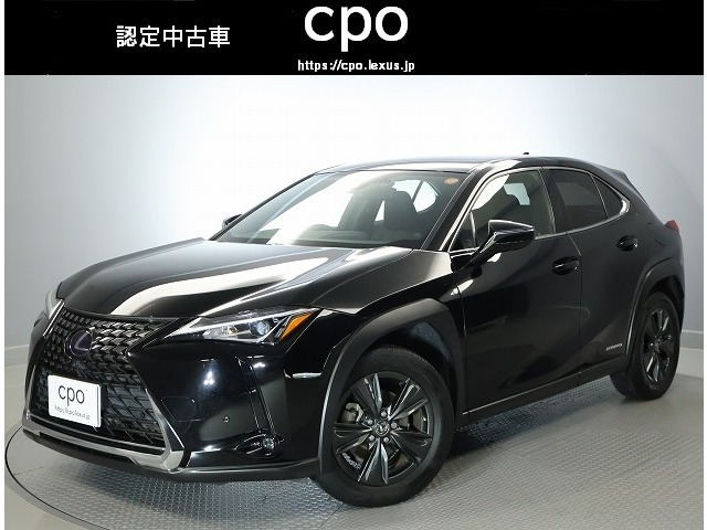 UX250h バージョンC