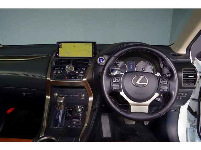 NX300h バージョンL