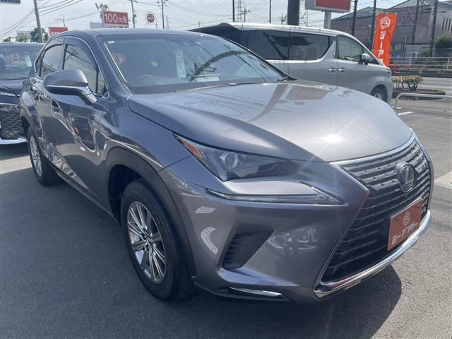 NX300h