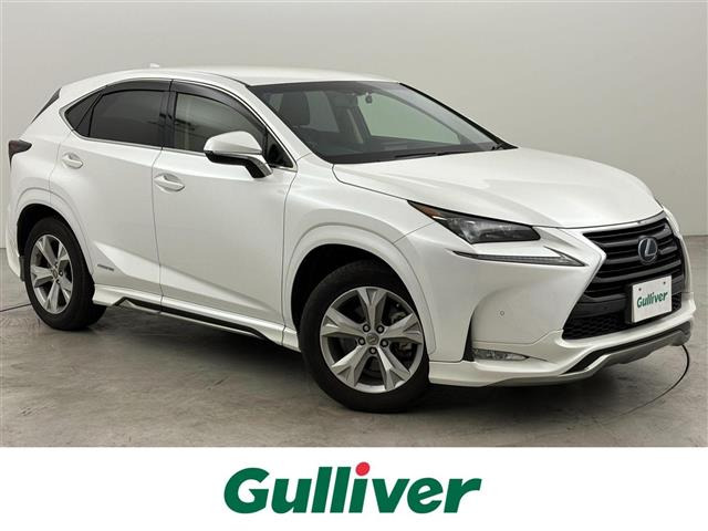 NX300h バージョンL