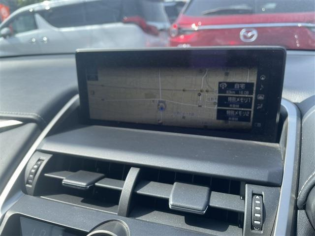 NX300h