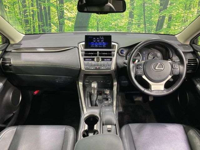 NX300h バージョンL