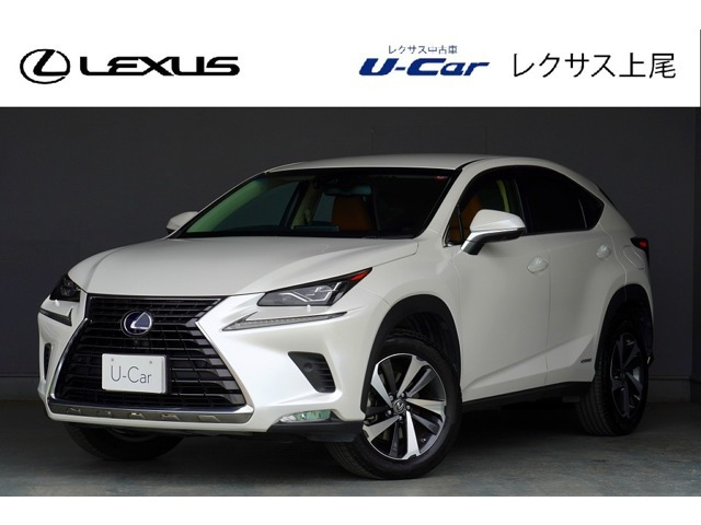 NX300h バージョンL