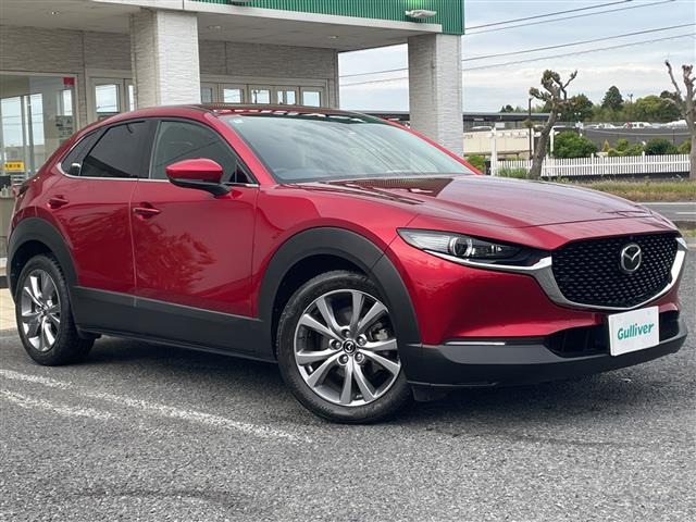 CX-301.8 XD プロアクティブ