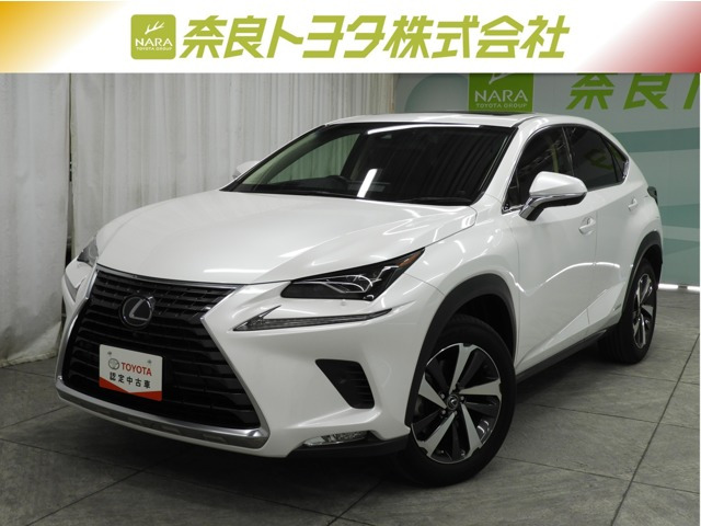 NX300h バージョンL