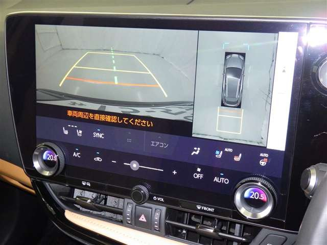 NX250 バージョンL