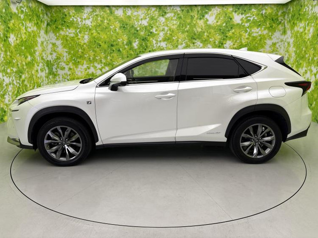 NX300h Fスポーツ 4WD