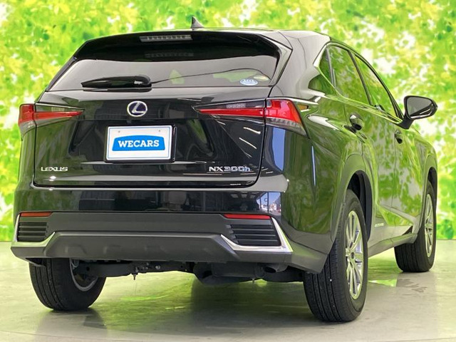 NX300h Iパッケージ