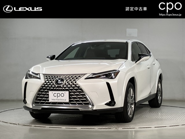 UX250h グレイスフル エクスプローラー