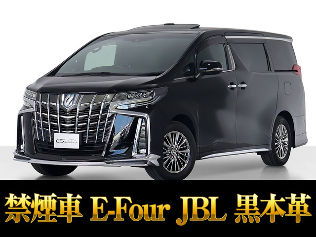 �A���t�@�[�h�i�g���^�j�n�C�u���b�h 2.5 �G�O�[�N�e�B�u ���E���W S E-Four 4WD�@���f���X�^�G�A���։� ���Îԉ摜