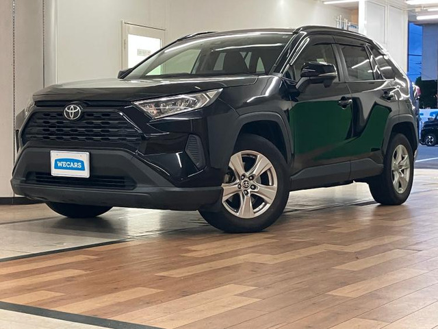 RAV42.0 X