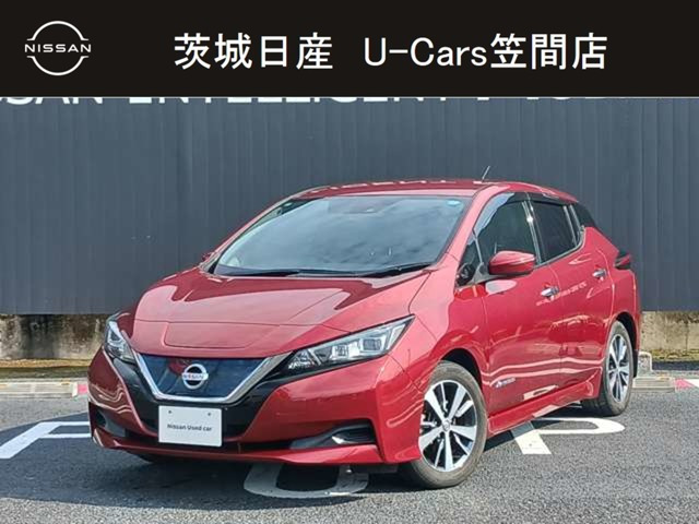 リーフX