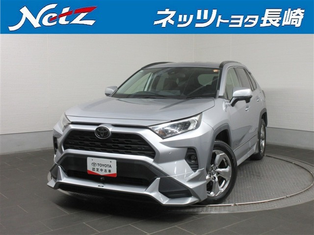 RAV42.0 X