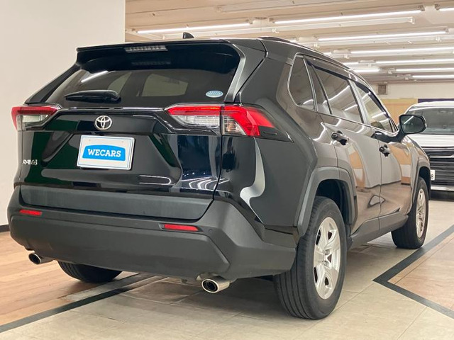 RAV42.0 X