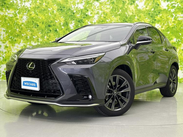 NX350h Fスポーツ