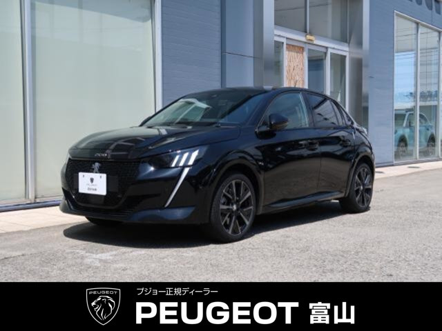 e-208GT
