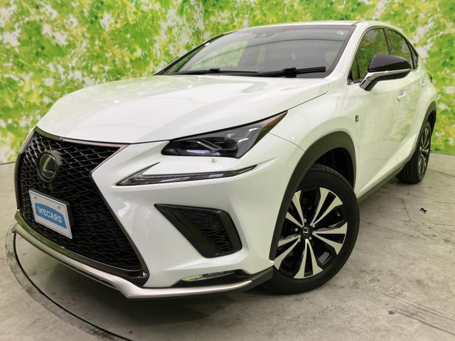 NX300h Fスポーツ