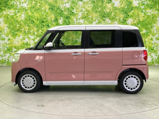 ムーヴキャンバスストライプス X