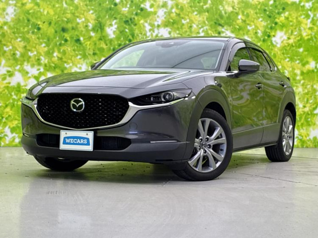 CX-302.0 20S プロアクティブ
