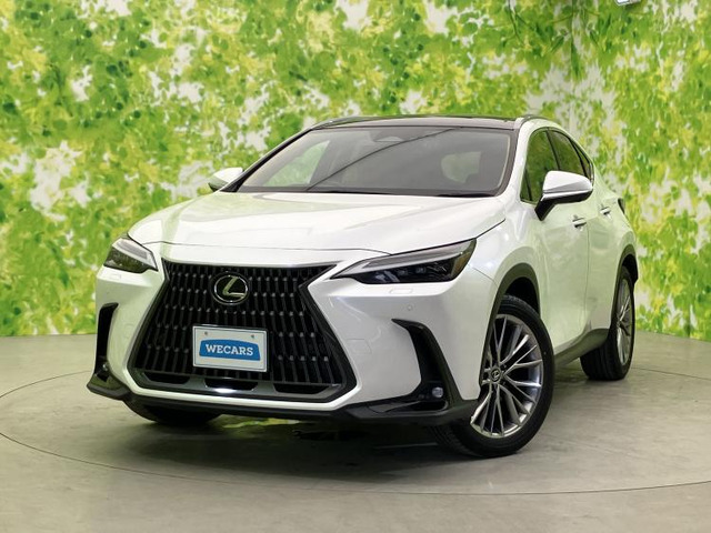 NX350h バージョンL
