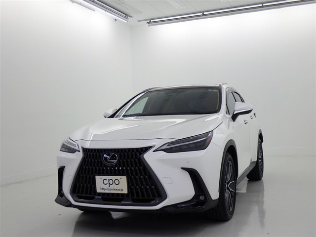 NX250 バージョンL