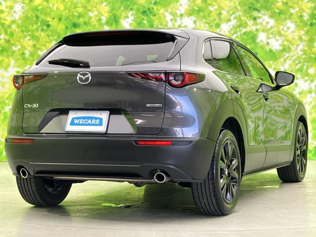 CX-302.0 20S レトロスポーツエディション