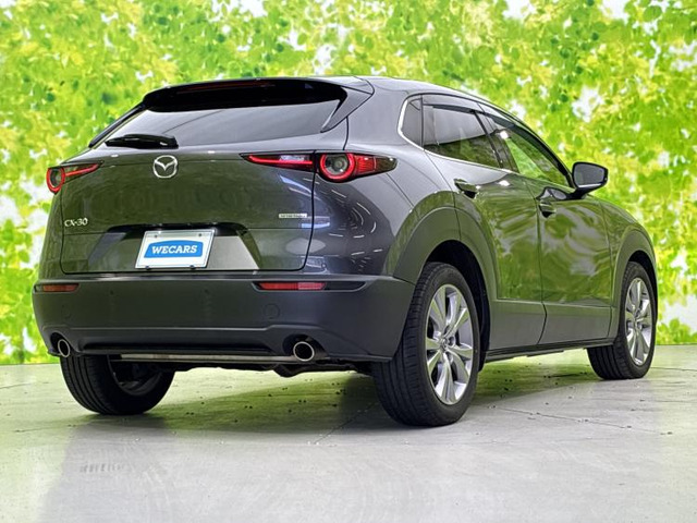 CX-302.0 20S プロアクティブ