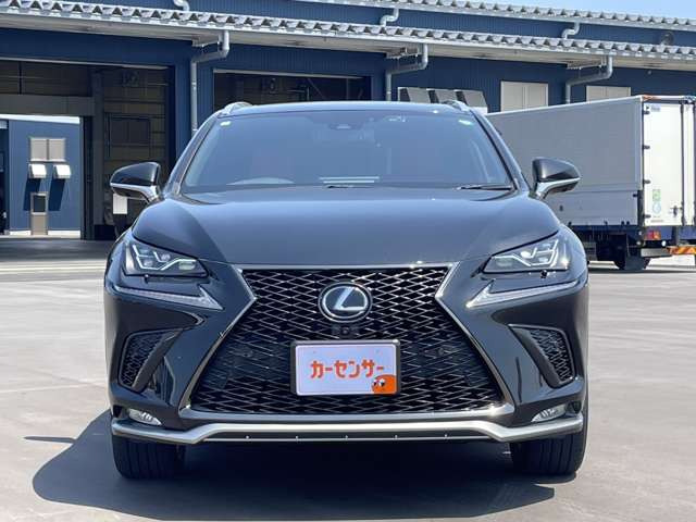NX300h Fスポーツ
