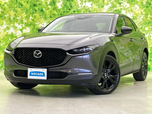 CX-302.0 20S レトロスポーツエディション