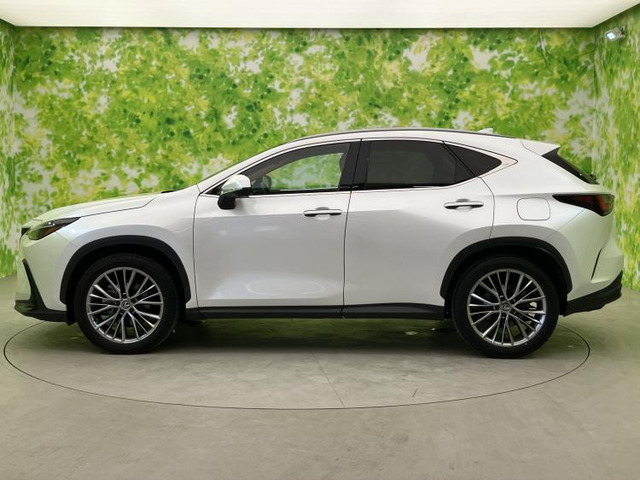 NX350h バージョンL