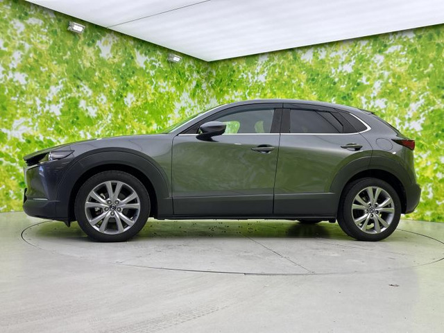 CX-302.0 20S プロアクティブ