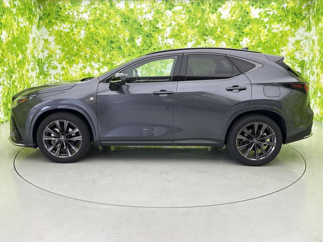 NX350h Fスポーツ