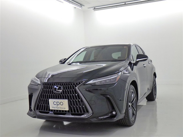 NX250 バージョンL