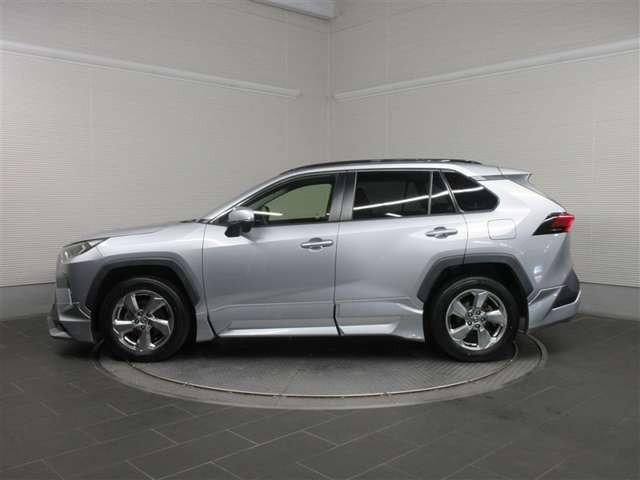 RAV42.0 X