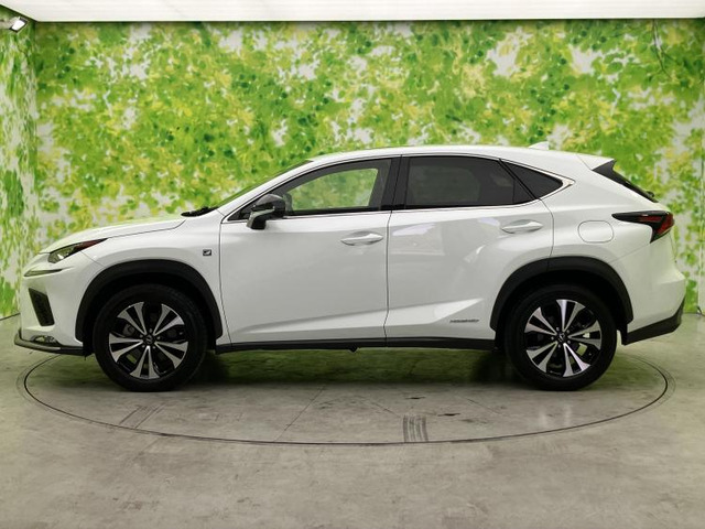 NX300h Fスポーツ