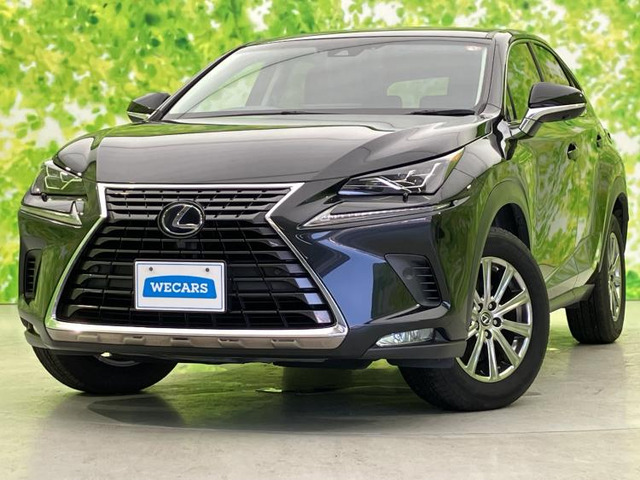 NX300h Iパッケージ