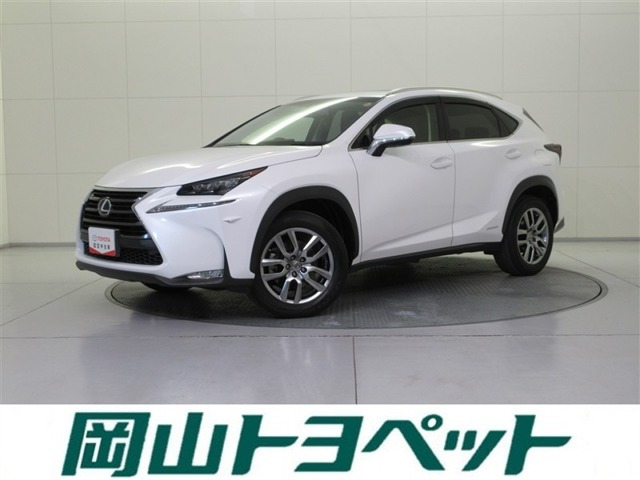 NX300h バージョンL