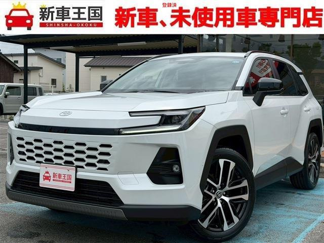 RAV42.5 Z E-Four 4WD