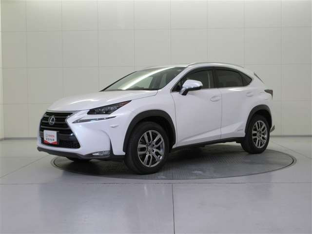 NX300h バージョンL