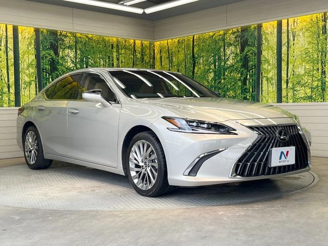 �������x�̃K���X�疌�ŝ����͂������A�㎿�ȃc���E����������B���O����_���J�����؂Ȉ��Ԃ�ی삵�A�F�����E�򉻂�h�~�B�u�e�X�v���b�V���R�[�g�v�A�u�e�v���~�b�T�R�[�g�v���炨�I�т��������܂��B