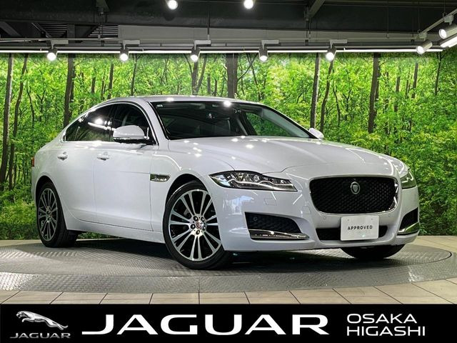 XF